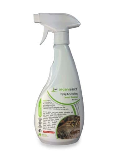 Organic Professional crawling insect spray killer silverfish weevil beetle woodlice ants cockroach fleas