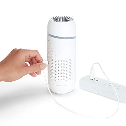 Portable Air Purifier