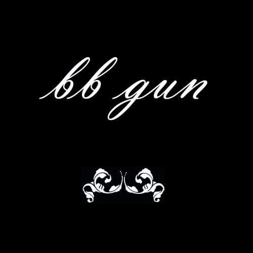 BB Gun