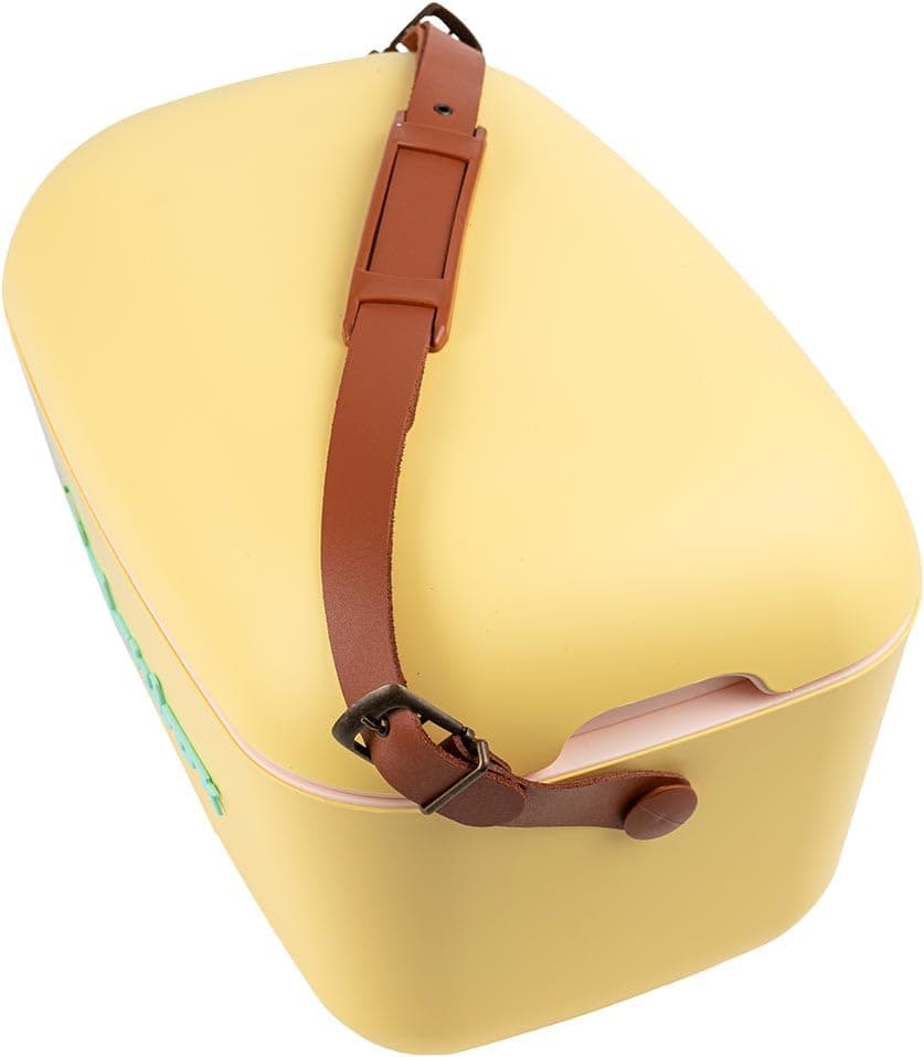 Polarbox 20L Cool box, Ice Box, Large Cool Box, For Picnics, Beach, Camping, Garden, Cool Storage Box - Yellow Cyan Classic