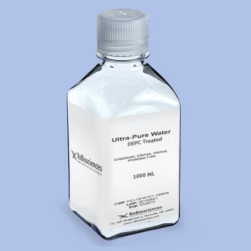 Ultra Pure Water, DEPC Treated 1000ml, DNAse, RNAse and protease Free