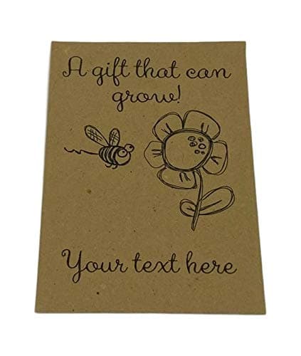 10 x Teacher to Student Seed Packets, Contains Wildflower Seeds, Prime, Class Gift End of Year for Pupils from Teachers to Show Appreciation, School Leavers Present, Thank You, Christmas, Mothers Day