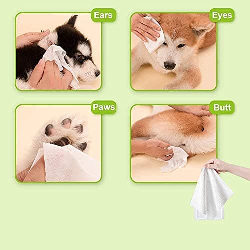 Pets Empire Wet Wipes for Dogs, Cats, Rabbit, Puppies & Small Animals (80 Pcs), Anti-Bacterial Cleaning and Daily Care Soft on Pets Skin, Dry Bath, Ear & Paw Daily Cleaning Grooming Wipes (15x20 cm)