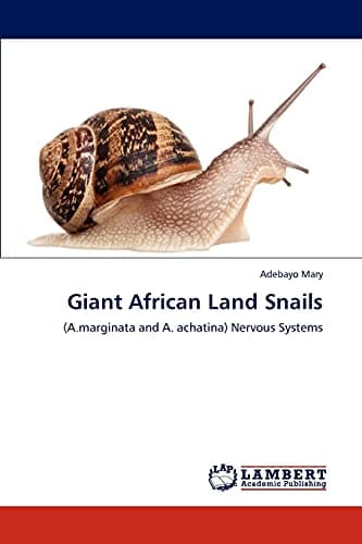 Giant African Land Snails: (A.marginata and A. achatina) Nervous Systems