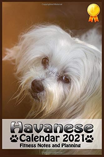 Havanese Calendar 2021: Perfect for Notes Planning and Fitness, Monthly and Weekly 2021 Planner 12 Month
