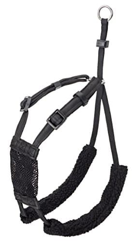 The Company of Animals COA Non-Pull Harness Black