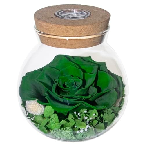 roliys Preserved Real Roses with Colorful Mood Light Wishing Bottle,Eternal Rose，Never Withered Flowers,for Bedroom Party Table Decor, Christmas Decorations,a Gifts for Women 4.3inch1pcs (Green)