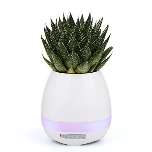 Music Flowerpot Bluetooth Speakers and Multi-color Light Great Planter for Home and Office,Can play Piano by Touching The Plants