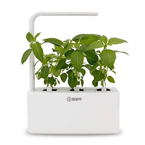 Smart Garden Indoor Smart Plugs Rapid Rooter Grow Capsule Gardening Kit with LED Grow Light Fresh Herbs and Vegetables Grown Flowerpot
