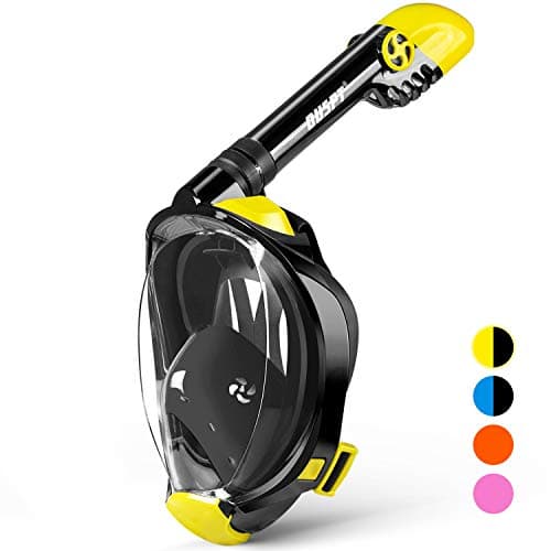 OUSPT Full Face Snorkel Mask, Snorkeling Mask with Detachable Camera Mount, Panoramic 180° View Upgraded Dive Mask with Safety Breathing System, Dry Top Set Anti-Fog Anti-Leak