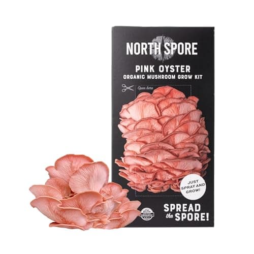 North Spore Pink Oyster Mushroom Spray & Grow Kit (4 lbs) | Beginner Friendly & Easy to Use | Grow Your Own Gourmet Mushrooms at Home | Handmade in Maine, USA