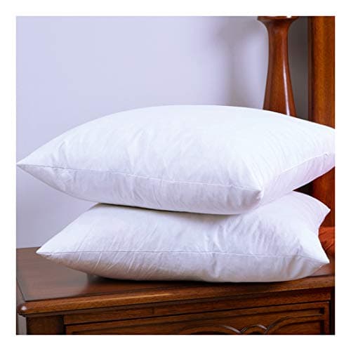 DOWNIGHT 12 X 20 Inches, Two Down and Feather Pillow Inserts, Cotton Fabric Throw Pillows