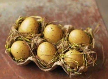 Six Brown Speckled Eggs in Carton W/ Grass