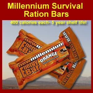 New Millennium Survival & Emergency Ration Food Bar - Orange