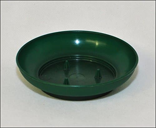 60 Silver Green Bowl with Bits for Sponge