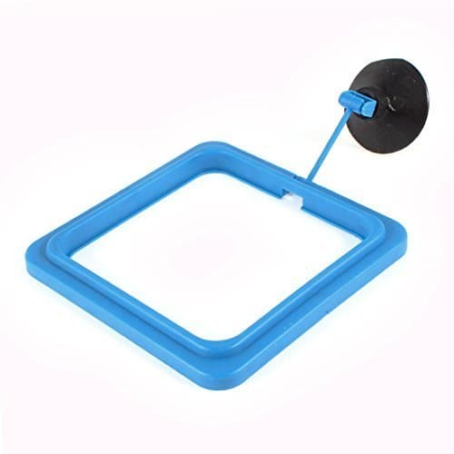 Water & Wood Aquarium Black Suction Cup Base Square Fish Feeding Feeder Ring Blue