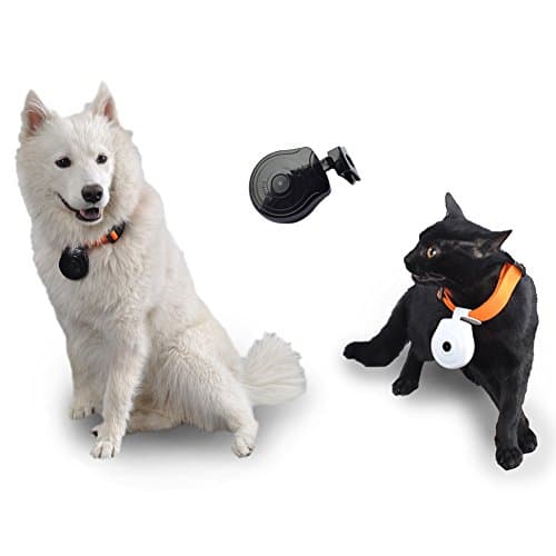 ElseLife Digital Pet Collar Camera Mini Video Recorder Monitor For Dogs Cats Puppy