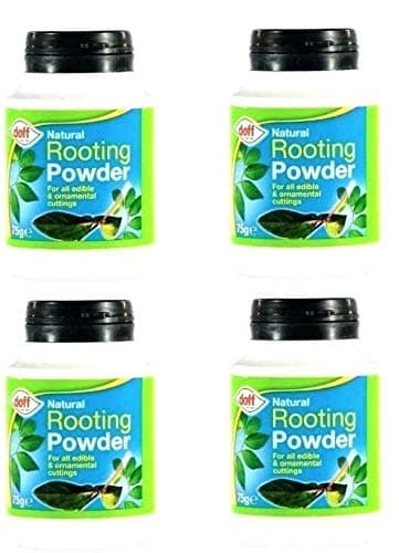 Redify 4 X Doff Natural Hormone Rooting Powder, 75g