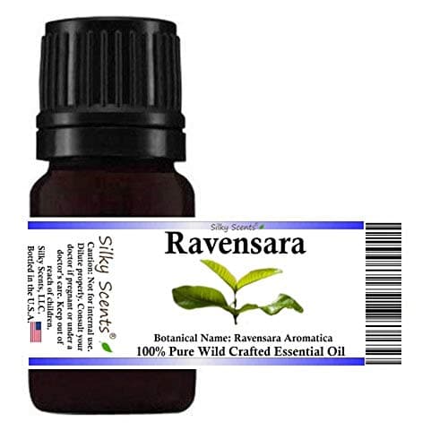 Ravensara Wild Crafted Essential Oil, 100% Pure and Natural, 5 ML