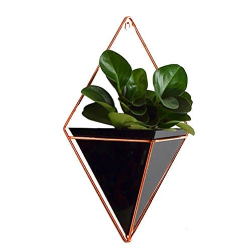 Ksruee Household Innovative Indoor Living Room Ornament Decoration Garden Hanging Decor Container Geometric Characteristic Wall Hanging Succulents Plant Pot