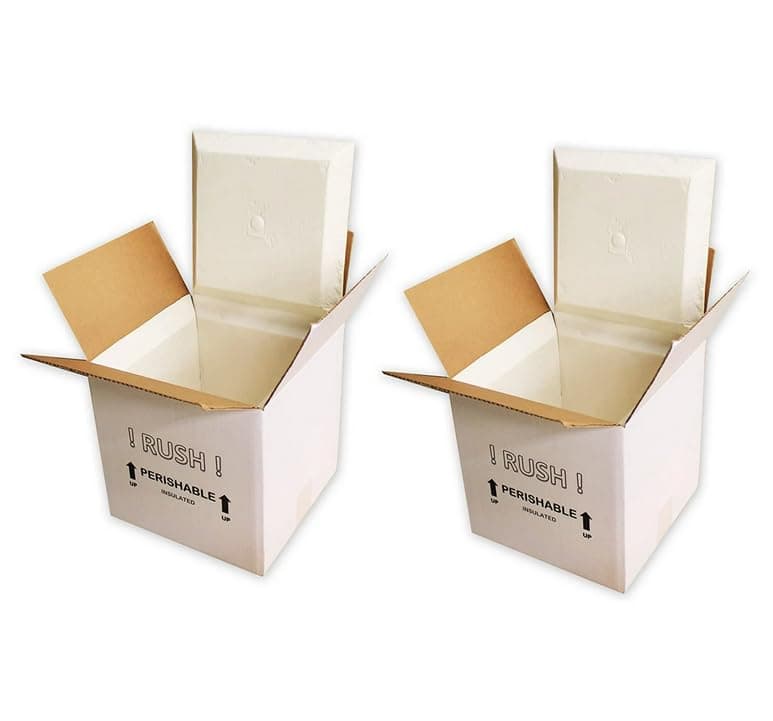SF11A EcoFriendly Insulated Shipping Cooler, 11" x 9" x 9" (Pack of 2)(8" x 6" x 6" Inside)