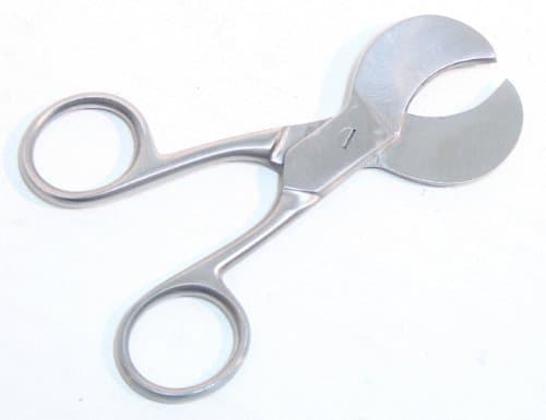 4" Umbilical Cord Scissors Stainless Steel by Life gears Office Product