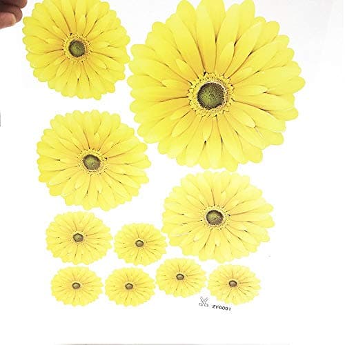 Ski Goggles, Frameless Snowboard Goggles Interchangeable Double Lens with Longer Elastic Strap&Protective Case for Men Women Youth - Anti Fog, 100% UV400 Protection, FDA & CE Green(VLT24.3%)