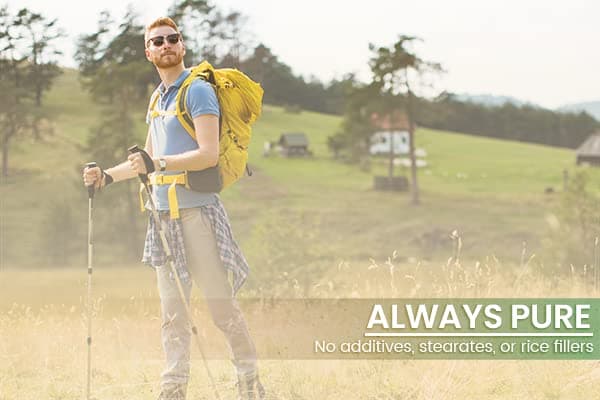 Lion's Mane (100 Caps)