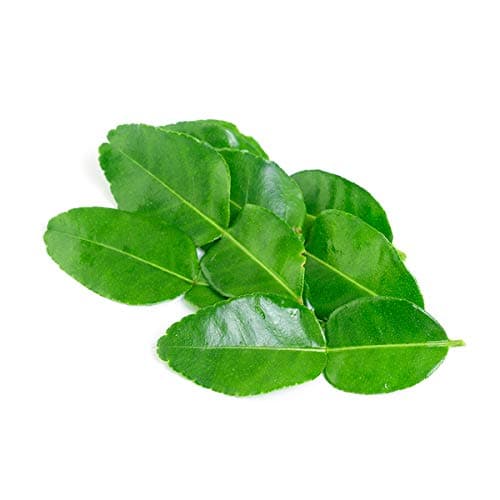 Fresh Makrut (Kaffir) Lime Leaves - 0.5 oz