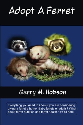 Adopt A Ferret: Everything you need to know if you are considering owning a ferret. Baby ferrets or adults? What about ferret nutrition and ferret health? It's all here.