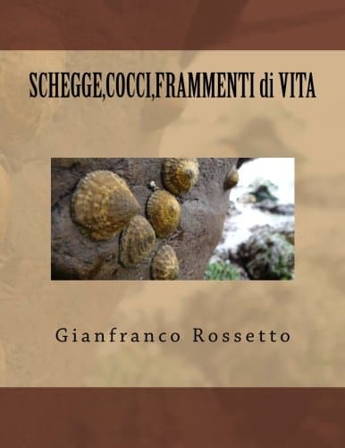 SHEGGE,COCCI,FRAMMENTI di VITA (Italian Edition)