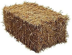 Wheat Straw Full Bale - Animal Bedding for Horses, Rabbits, Guinea Pig - Low Dust Full Straw Bale - Comfortable & Soft Bedding for Pets