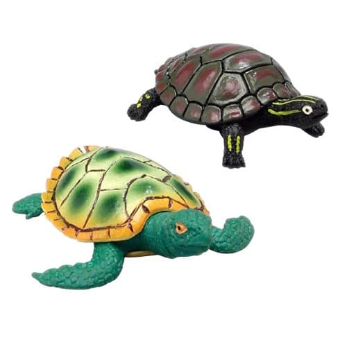 Turtle w/ Stretch Body & Hard Shell