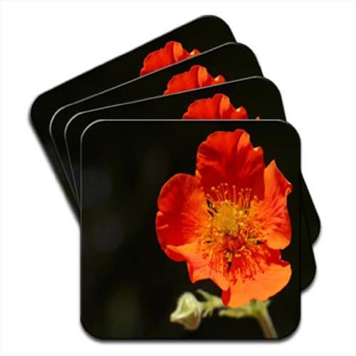Blossoming Red Poppy Set of 4 Coasters