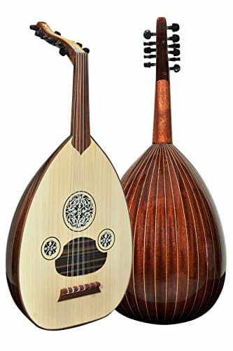 Professional Turkish Oud" The Turkish Star",Cat#166B with Soft carry case