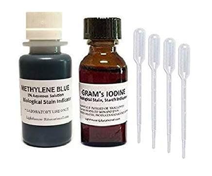 Microscope Stain Set - Methylene Blue and Gram's Iodine