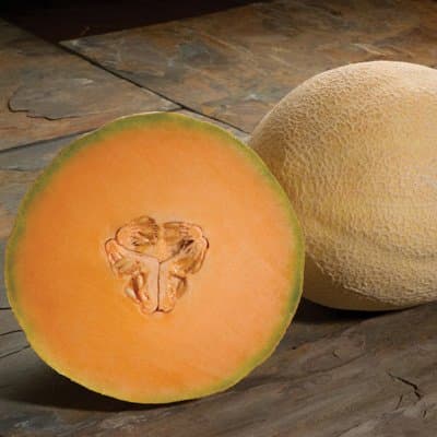 Melon Atlantis Cantaloupe F1-1,000 Seeds
