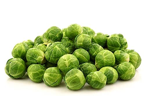 Early Half Tall Brussels Sprout Seeds, Vegetable Seeds for Home Garden Planting, Pack of 150 Seeds by Heavy Torch