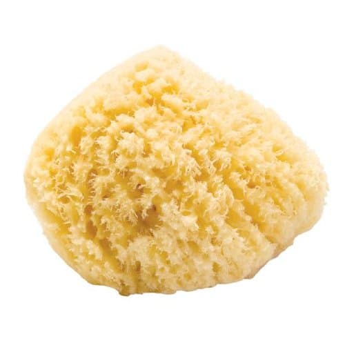 Natural Sea Sponge, Size 5"-6"
