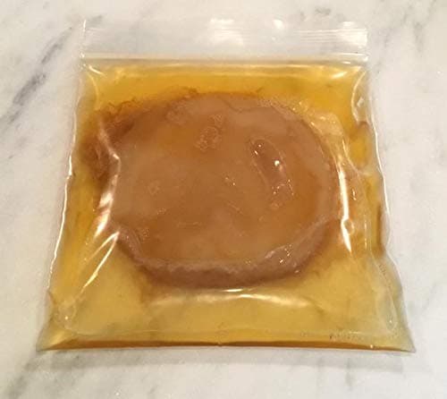 Standing Stone Farms Kombucha SCOBY, Fresh, Never Dehydrated with PH MAGNET and test strips!