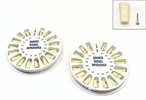 Dental Typodont Ivorine Upper and Lower Replacement Pediatric Teeth for Model 760