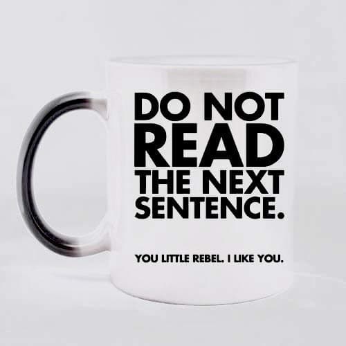 Cute Romantic DO NOT READ THE NEXT SENTENCE YOU LITTLE REBEL. I LIKE YOU Heat Sensitive Color Changing Mug Custom Ceramic Morphing Coffee/Tea Cup Mug