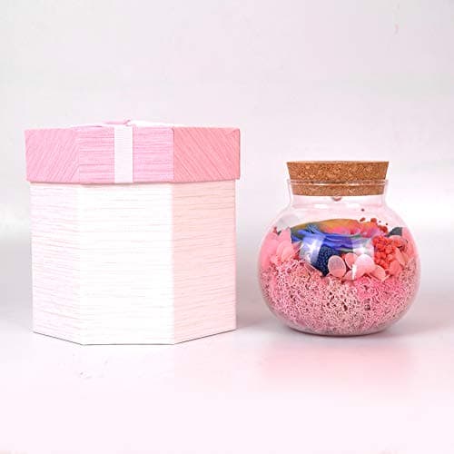 SANRAN Forever Flower, Preserved Eternal Real Rose Present with Led Mood Light, Best Gift for Mother's Day, Thanksgiving Day,Birthday, Anniversary, Valentine's Day, Christmas-(Rainbow Max)