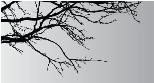 Sumlake X Large Black/white Tree Branches Top Branch Wall Art Stickers Decal for Home Decor