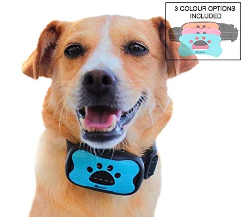 IQ Paws Advanced 3 colours in 1 Anti Bark Collar | Stop Dogs Excessive Barking Device with No Shock, 2 Long-Lasting Batteries, Bonus LED Tag and Bonus Ebook