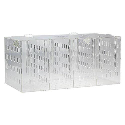 Seaside Aquatics RF400 Aquarium Acclimation/Breeding Box