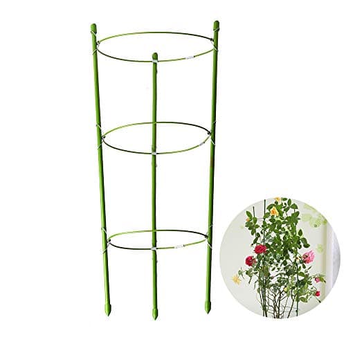 EFFT Life 2 Pack Plant Support Ring Garden Trellis Flower Iron Support Climbing Vegtables Fruit Grow Cage with 3 Adjustable Hoop 17.8"