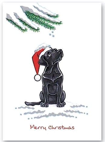 Black Labrador Retriever Christmas Card Lab Xmas Kritters Cards
