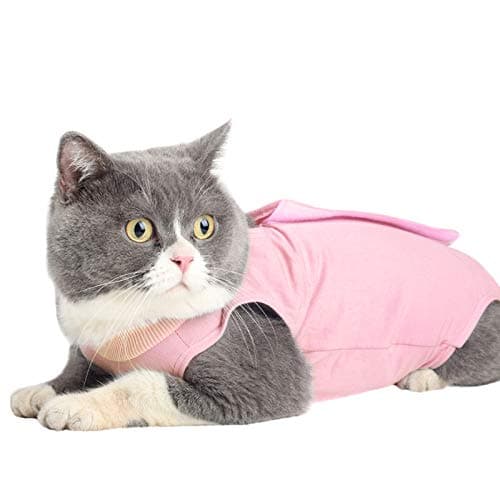 Cat Surgical Recovery Suit Abdominal Wounds or Skin Diseases, E-Collar Alternative,After Surgery Wear, Professional Home Indoor Pets Clothing