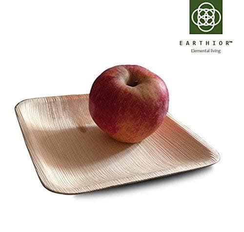Set of 10 Square 6'' Eco Dessert Plates Multi-use & Disposable Party Plates